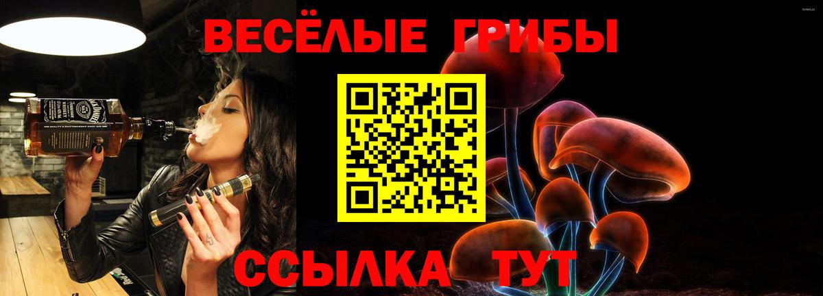 Красноармейск  Галлюциногенные грибы мухоморы  Галлюциногенные грибы мицелий  Вход с VPN 